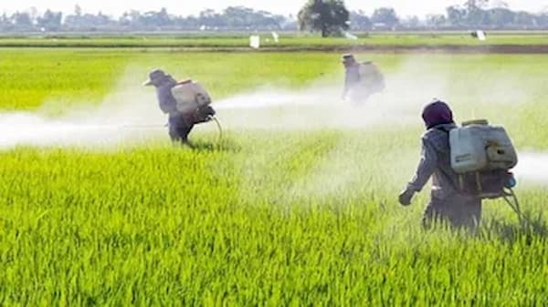 تصویر 2 از قیمت کود مایع زاگرا + خرید باور نکردنی